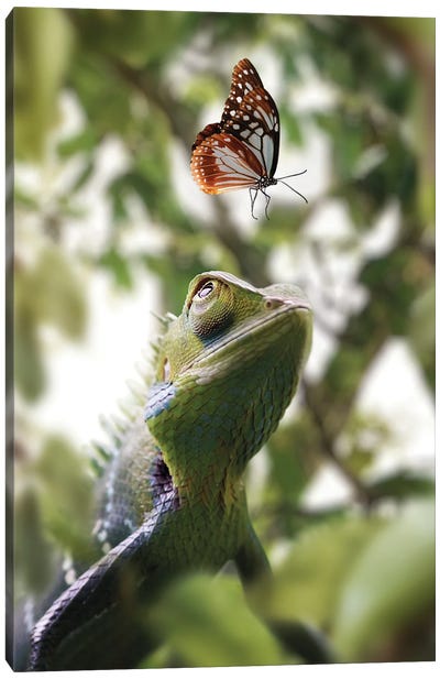 Chameleon & Butterfly Canvas Art Print - Chameleon Art