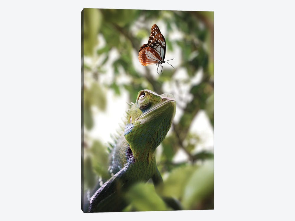 Chameleon & Butterfly by Zenja Gammer 1-piece Canvas Wall Art