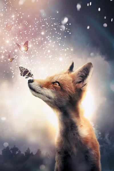 Foxes: Fox Butterflies by Zenja Gammer