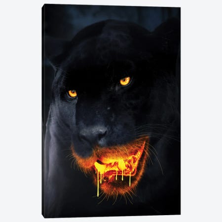 Hungry For Gold Canvas Print #ZGA170} by Zenja Gammer Canvas Art Print