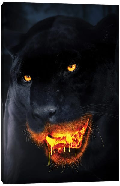 Hungry For Gold Canvas Art Print - Cougars