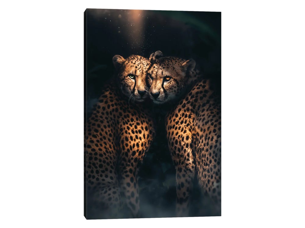 Chasin' Cheetahs Wallpaper by Love vs. Design