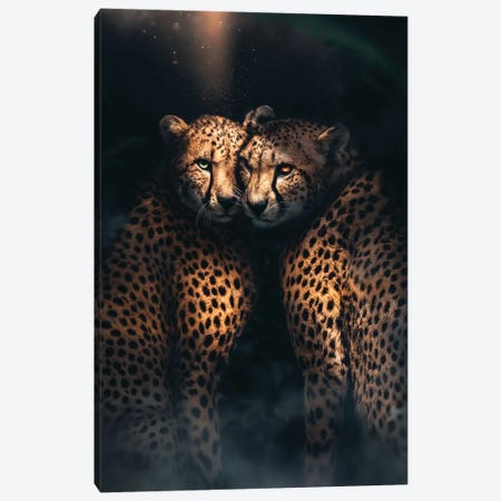 Cheetah Love Canvas Print #ZGA171} by Zenja Gammer Canvas Print