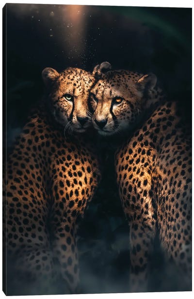 Cheetah Love Canvas Art Print