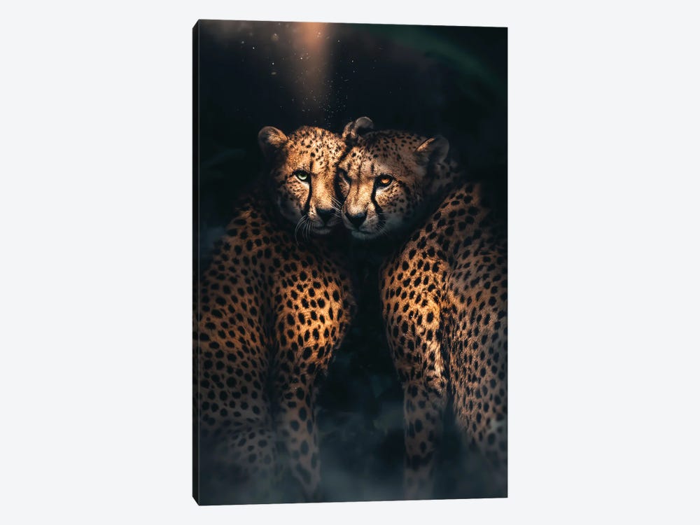 Cheetah Love by Zenja Gammer 1-piece Canvas Art