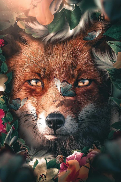 Floral Fox by Zenja Gammer wall art