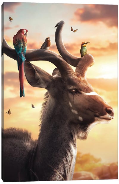Kudu Gang Canvas Art Print - Elk Art