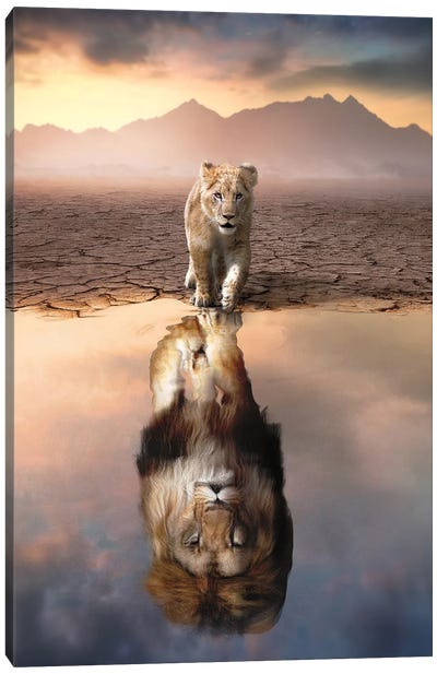 Lion Reflection Canvas Art Print - Through The Looking Glass
