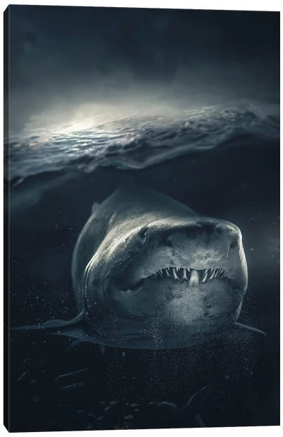 Underwater Shark Canvas Art Print - Zenja Gammer
