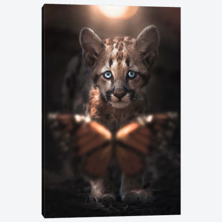Cub & Butterfly Canvas Print #ZGA184} by Zenja Gammer Canvas Print