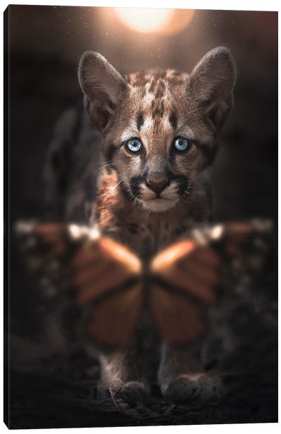 Cub & Butterfly Canvas Art Print - Zenja Gammer