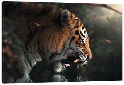 Majestic Tiger Canvas Art Print - Zenja Gammer