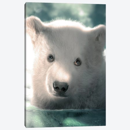 Polar Bear Cub Canvas Print #ZGA188} by Zenja Gammer Canvas Wall Art