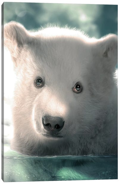 Polar Bear Cub Canvas Art Print - Zenja Gammer
