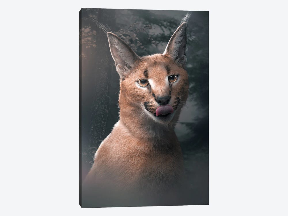 The Caracal by Zenja Gammer 1-piece Canvas Art