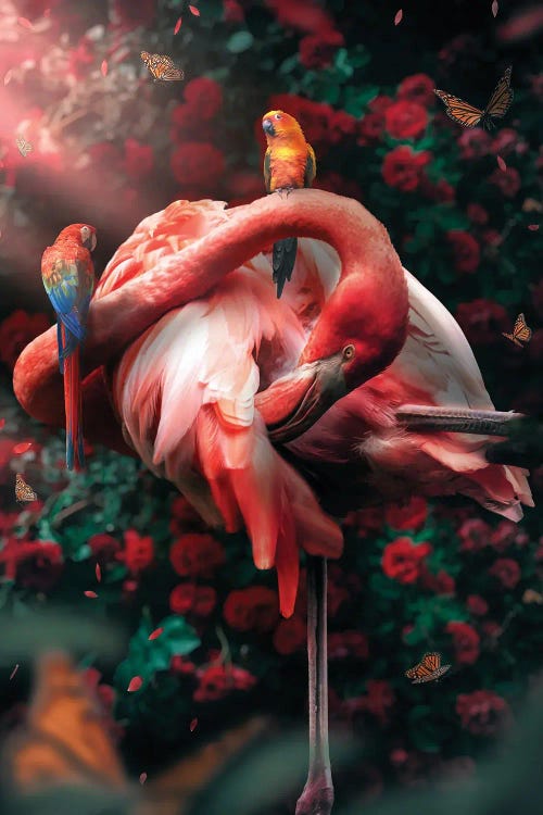 Funky Flamingo by Zenja Gammer wall art