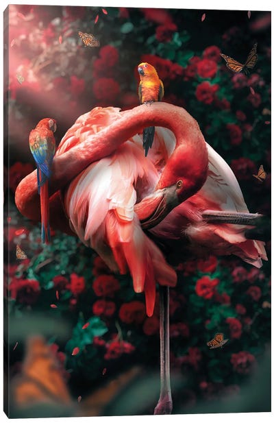 Funky Flamingo Canvas Art Print - Flamingo Art