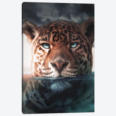 Underwater Jaguar Canvas Print #ZGA196} by Zenja Gammer Canvas Artwork