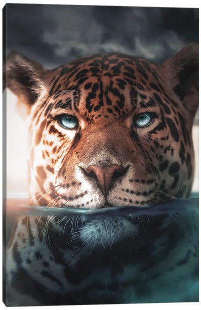 Underwater Jaguar Canvas Art Print - Jaguar Art