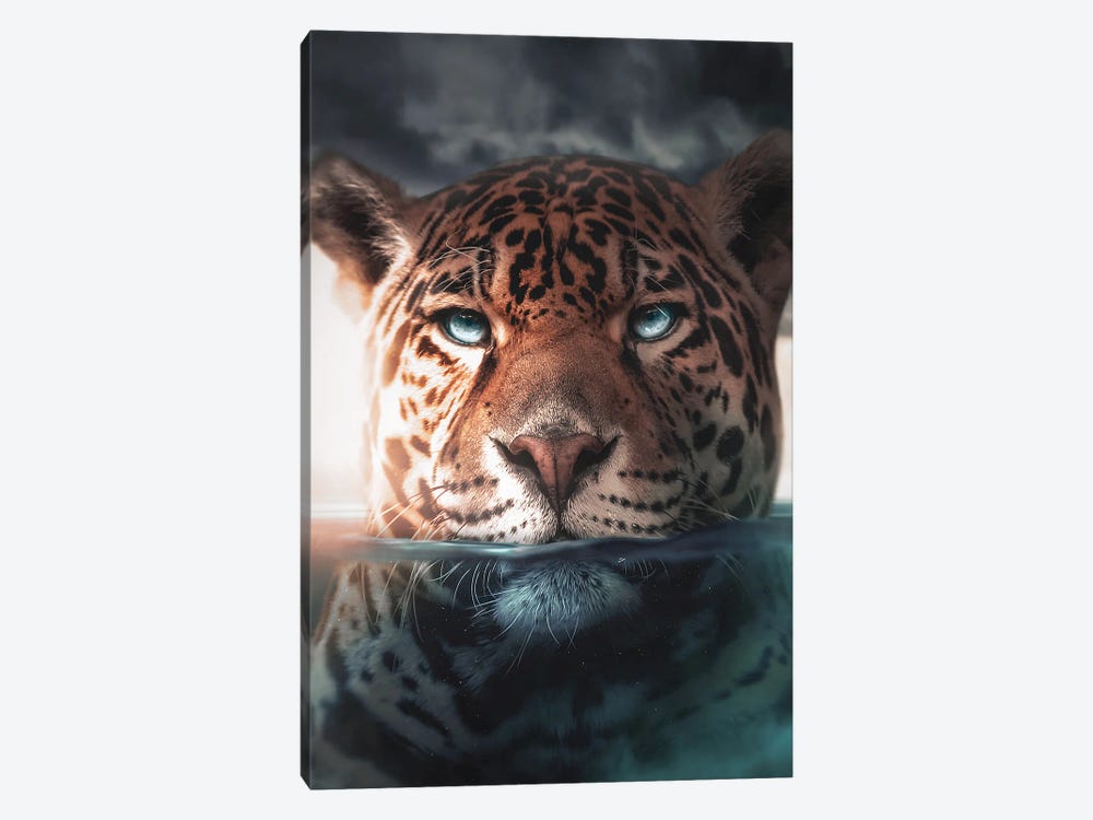 Underwater Jaguar by Zenja Gammer 1-piece Canvas Print