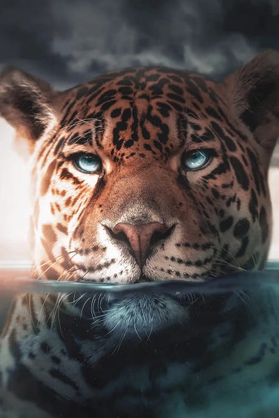 Zenja Gammer: Underwater Jaguar by Zenja Gammer
