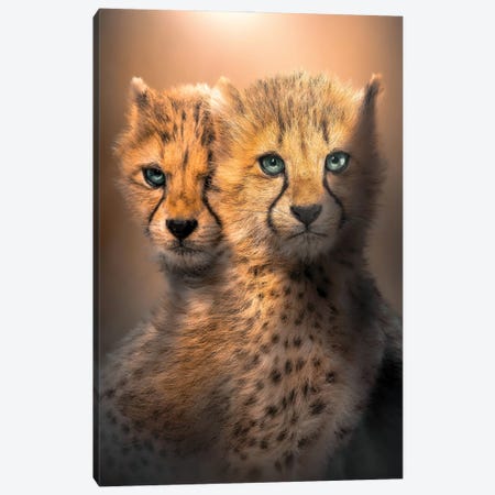 Cheetah Cubs Canvas Print #ZGA197} by Zenja Gammer Canvas Artwork
