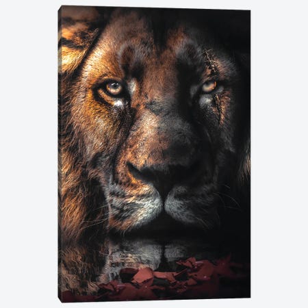 Lion Scar Canvas Print #ZGA198} by Zenja Gammer Canvas Print