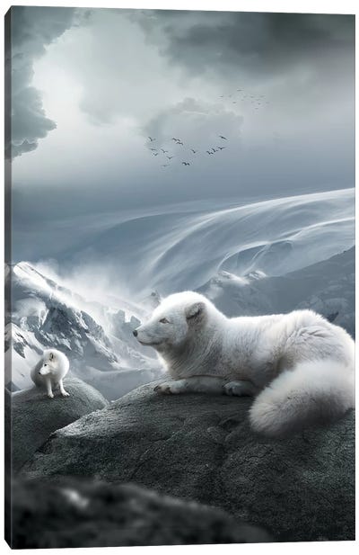 Arctic Foxes Canvas Art Print - Zenja Gammer