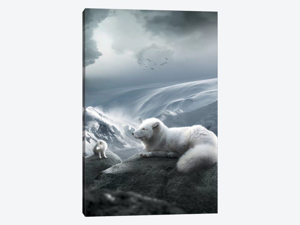 Arctic Foxes by Zenja Gammer 1-piece Canvas Print