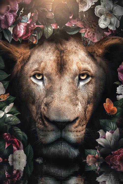 Flowered Lion