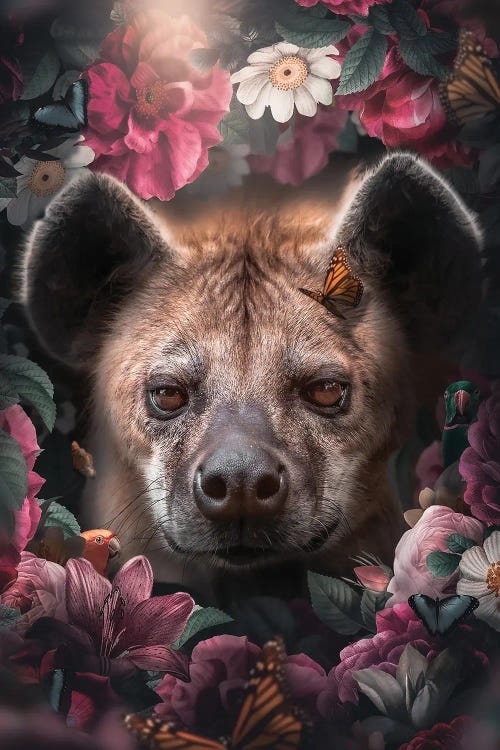 Floral Hyena