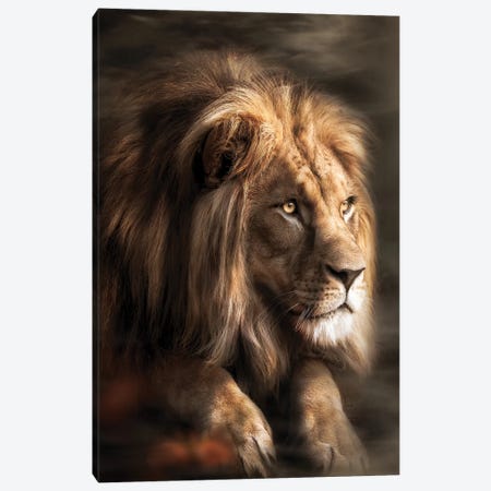 Lion Misty Canvas Print #ZGA202} by Zenja Gammer Canvas Print