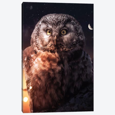 Night Owl Canvas Print #ZGA205} by Zenja Gammer Canvas Wall Art