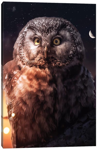 Night Owl Canvas Art Print - Zenja Gammer
