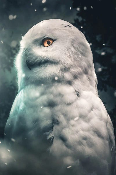 Snowy Owl by Zenja Gammer acrylic art print