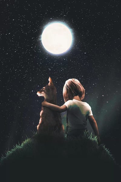 Foxes: Fox And The Prince by Zenja Gammer