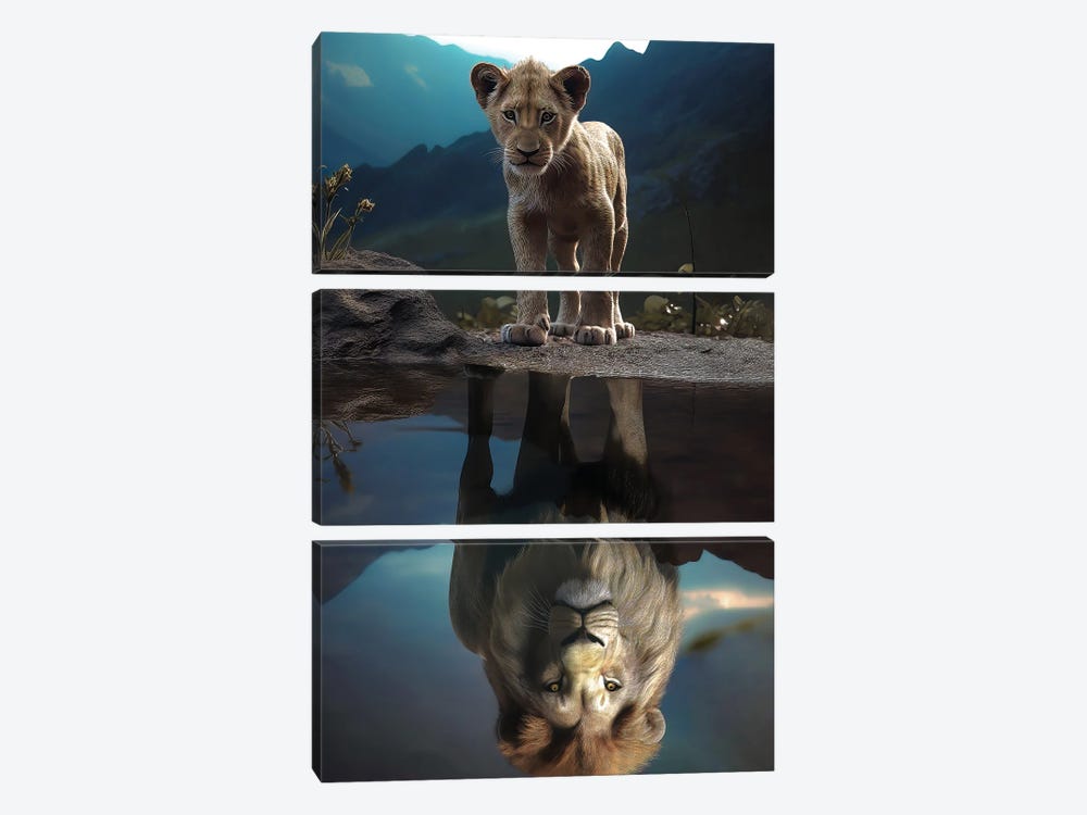 The Lion Reflection by Zenja Gammer 3-piece Art Print