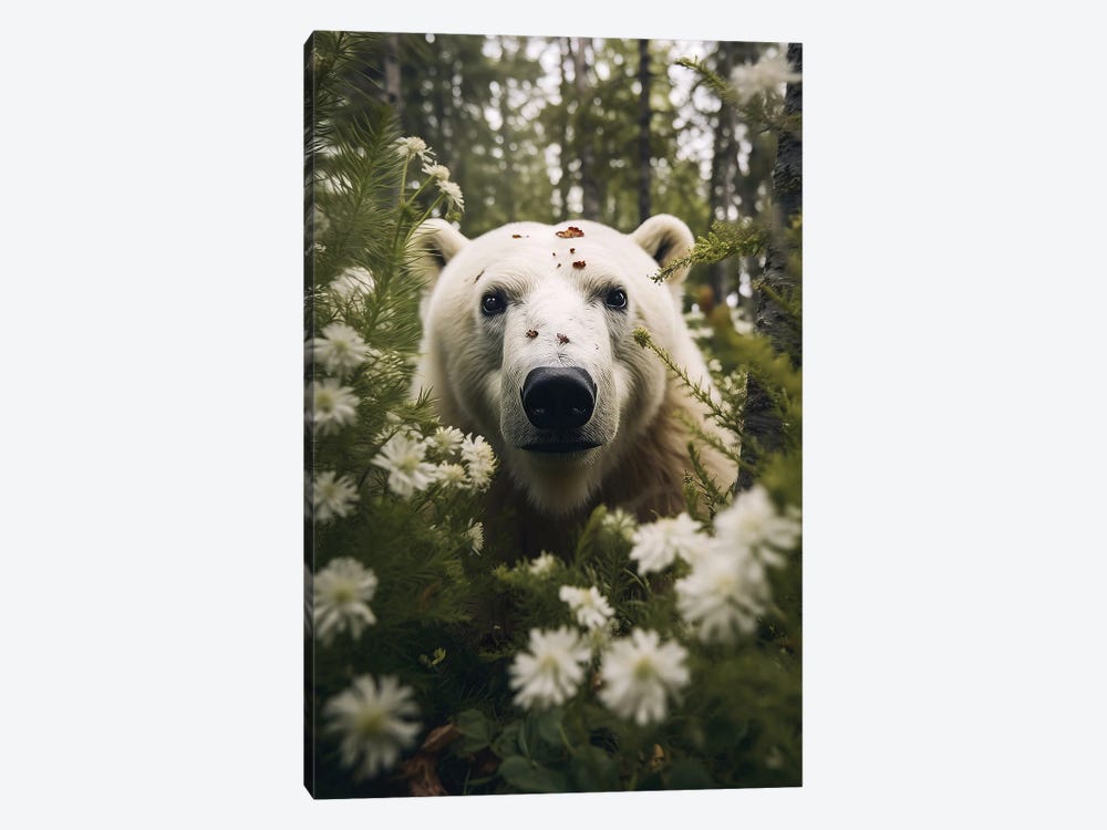 Polar Bear Flowers by Zenja Gammer 1-piece Canvas Wall Art