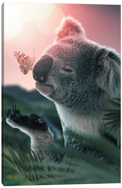 Koala Butterfly Canvas Art Print - Koala Art