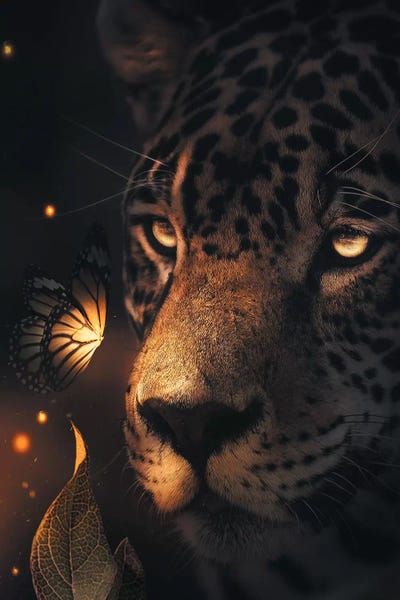 Leopards: Leopard Glowing Butterfly by Zenja Gammer