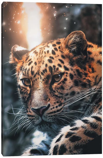 Leopard Sparkles Canvas Art Print