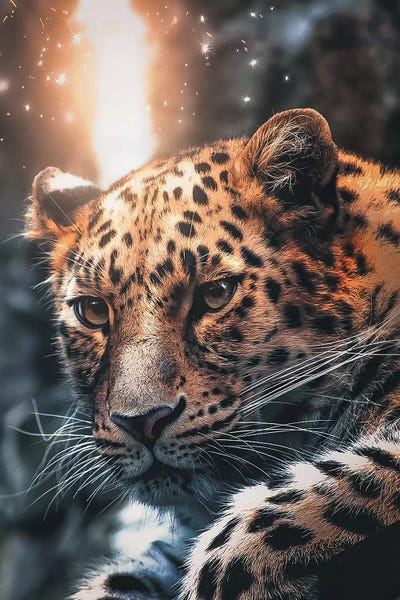 Leopards: Leopard Sparkles by Zenja Gammer