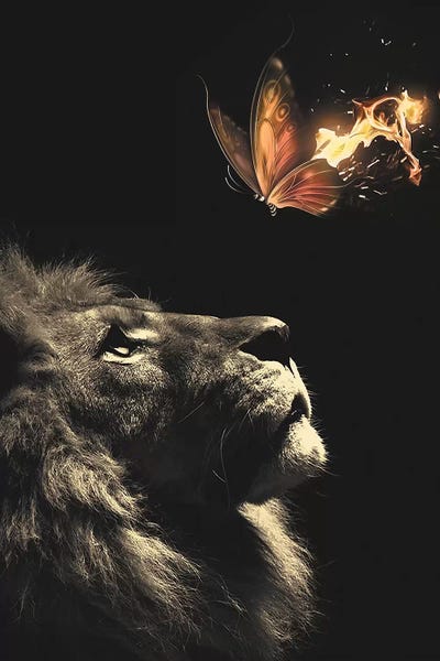 Animal Lover: Lion Butterfly by Zenja Gammer