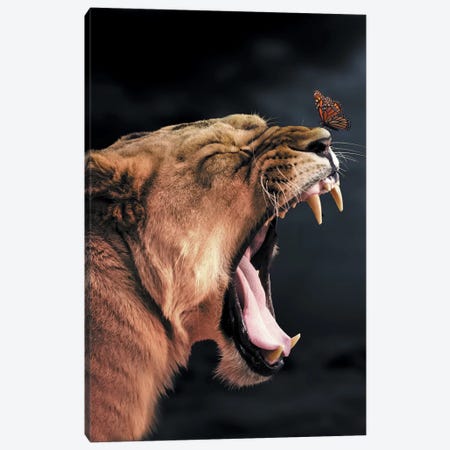 Lioness Butterfly Canvas Print #ZGA35} by Zenja Gammer Canvas Art