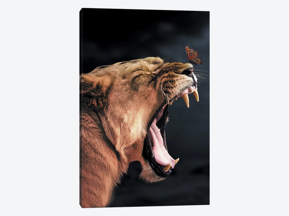 Lioness Butterfly by Zenja Gammer 1-piece Canvas Print