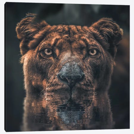 Lioness Reflection Canvas Print #ZGA36} by Zenja Gammer Canvas Wall Art