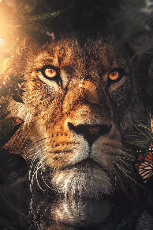 Lion Hiding by Zenja Gammer wall art