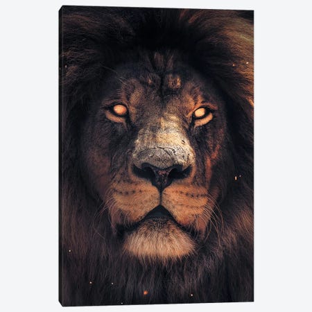 Lion Scary Canvas Print #ZGA38} by Zenja Gammer Canvas Print