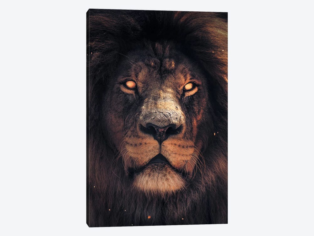 Lion Scary by Zenja Gammer 1-piece Canvas Artwork