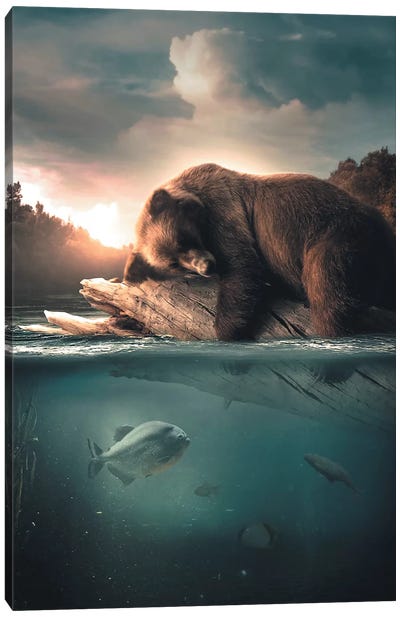 Bear Floating Canvas Art Print - Zenja Gammer